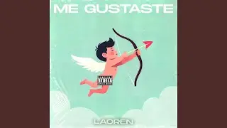 Me Gustaste