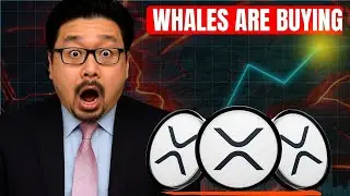 «XRP вступил в НОВУЮ фазу — это меняет всё!»