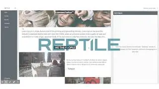 Reptile - Dynamic Content Builder