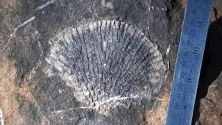 Geological Wonders of Oman