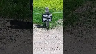 Just Good Business. #fail #language #indian #subscribe #trending #shorts #short #funny #learn #live