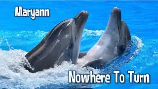 Nowhere To Turn