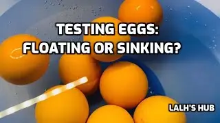Testing Eggs: Floating or Sinking? #cooking #tips #eggs #food #safety