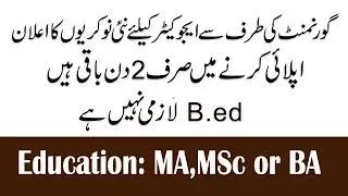 Educator New Jobs 2019
