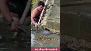 Catching fish with bare hands? This technique is amazing! #automobile #wheelsaw #birds
