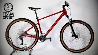 Kolo Focus WHISTLER 3.7 29