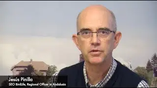 Jes&uacute;s Pinilla - SEO BirdLife, Regional Officer in Andalusia
