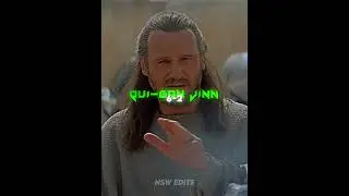 Darth Maul(TPM) VS Qui-Gon Jinn(TPM)