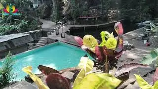SENDANG GROWONG, SANG DEWI YANG BERSEMBUNYI DI DESA SUMBERSAWIT