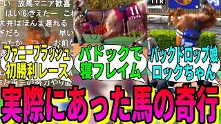 【競馬の反応集】「レース前後やレース中にあった馬の奇行」に対する視聴者の反応集