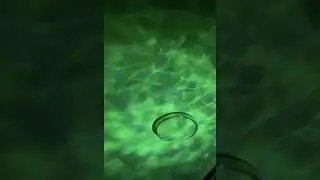 The Ocean Light&trade; Projector