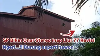 SP Bikin Onar stereo inap liur 77 revisi || Suara walet terbaik 2023