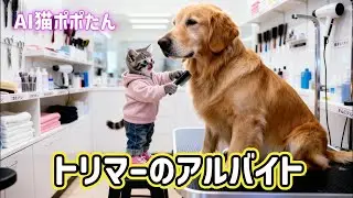 AI猫ポポたん ペットショップ店長のお願いで緊急トリマーアルバイト