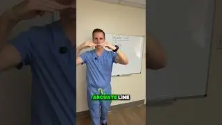 What is the arcuate line #FYP #Doctor #Nurse #Student #Education