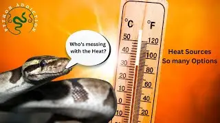 Ball Python Heating sources - What should you use?
