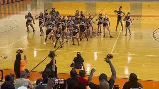 REELL Cheer Showcase