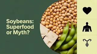Natural Health & Wellness Tips | Daily Remedies, Nutrition & Lifestyle Hacks