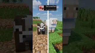 Minecraft CURSED Texture Packs #shorts #minecraft