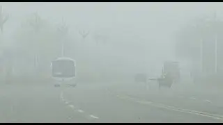 Heavy Fog Paralyzes Part of Expressway Traffic in China