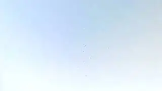 PAT 03