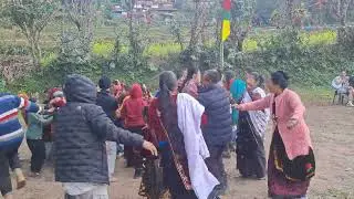 तमु ल्होसार पर्व को बाजा नाच कस्तो लाग्यो प्रतिक्रिया दिनुहोला 