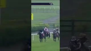 Proposition - closely related to Magical, wins at Galway #horse #horseracing #britishhorseracing