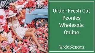 Use Fresh Cut Bulk Peonies Flowers on Your Wedding