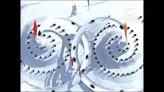 Disney Channel International Ident Penguin (RARE)