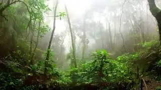 11° Dia de Meditação - Desafio 21