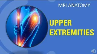 MRI Board Review - Upper Extremities Anatomy.