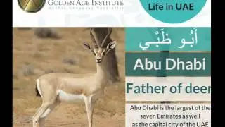 Golden Age Institute | Arabic Word of the day : Abu Dhabi - Father of deer