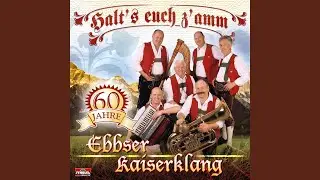 Lustige Musikanten