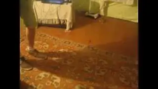 Это инфракрасный хрущ !ОРИГИНАЛ!