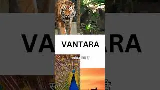 Anant Ambani initiative to save rare species   #animalrescue  #vantara #anantdadadt #anantambanidt