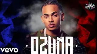 Ozuna - Duele Querete Asi | Visualizer Oficial 2026 &ndash; &Aacute;lbum Flow Infinito