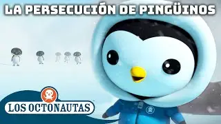 Los Octonautas - 🐧 La persecución de pingüinos 🚜 | Episodios Completos | Compilado