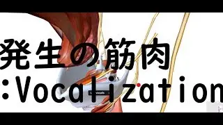 14発声の筋肉