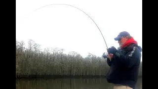 How to Catch GATOR Trout: BEST Structure to Fish and Prime Fishing Locations