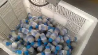 Automatic PVC glue filling capping wet glue labeling machine manual applicator cap placing