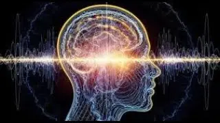 Brain Wave Frequency