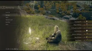 ELDEN RING Seamless Co-op + Randomizer Guide | Jan 27, 2025
