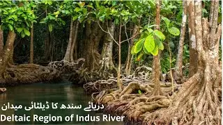 | The Indus Delta Indus river delta @Generalinfo1000 #generalinfo1000