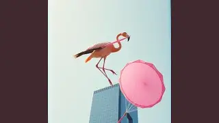 Leap of Faith