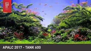 AQUASCAPE CONTEST - APALC 2017 TANK 600