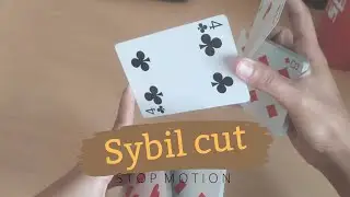 SYBIL CUT // STOP MOTION