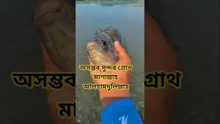 #shorts #trending #viral #shortsvideo #viralvideo #reels #youtubeshorts #video #funny #fishing #fish