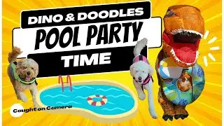 Doggy & Dino Pool Party! 🐶💦 Floaties, Basketball & Jump Contest with Dino, Cooper & Mia  #dog