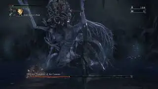 Ebrietus cane run