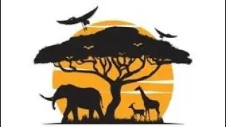 Az hum￼ Jayenge Jungle Safari ￼#viralvideo #jungle Safari we all
