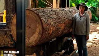Natural grain colored teak wood found in sawmills